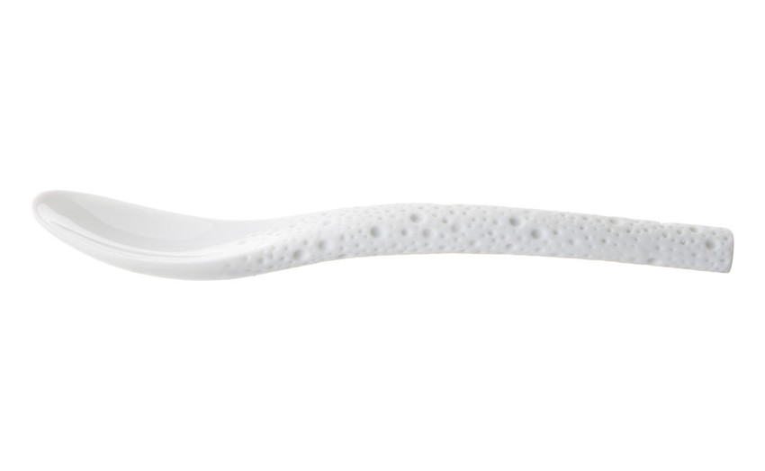 Coral Spoon