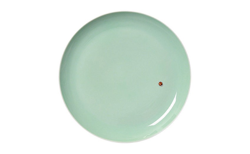 Plate Sky